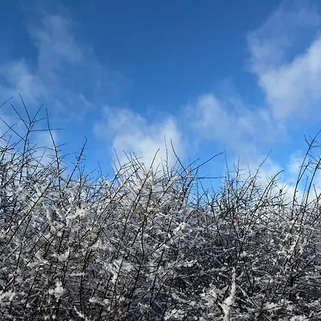 Apartamento Haus Dorfidyll Rodershausen
