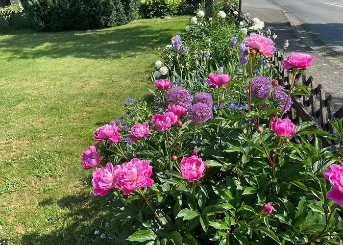 דירה Haus Dorfidyll Rodershausen