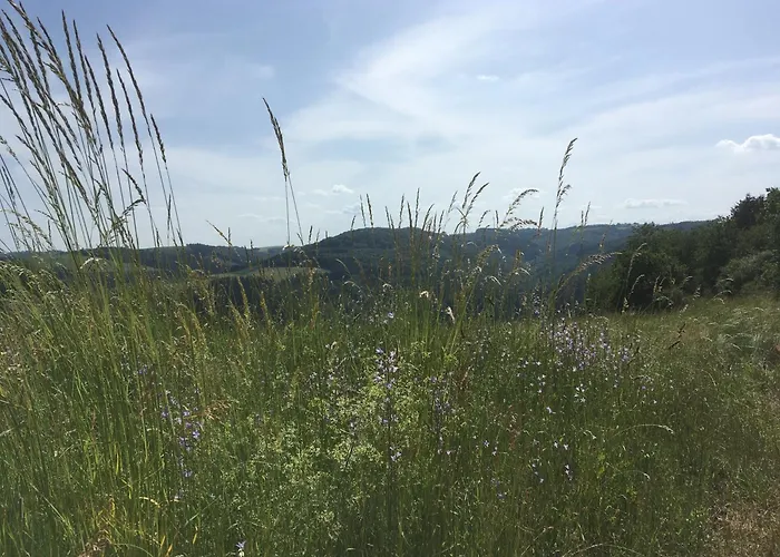 Haus Dorfidyll * Rodershausen