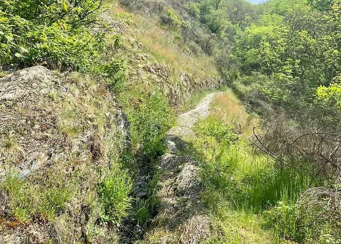 Haus Dorfidyll Rodershausen