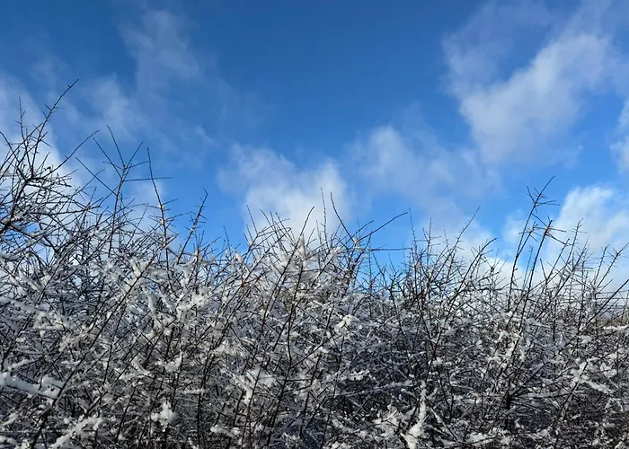 דירה Haus Dorfidyll Rodershausen